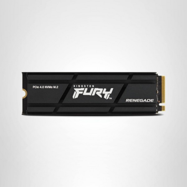 SSD M.2 KINGSTON 4TB FURY RENEGADE PCIe NVMe HS