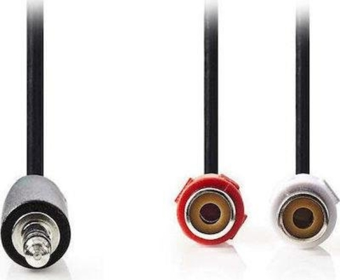 CABLE AUDIO STEREO 3.5mm Male 2 x RCA Female 0.2m
