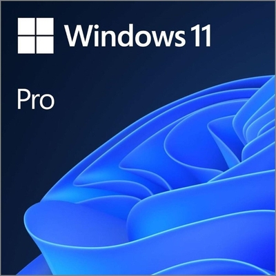 SW MS WINDOWS 11 PRO 64BIT DSP